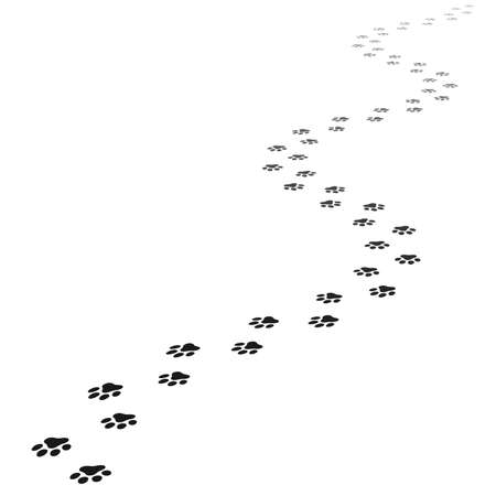 animal paw printsのイラスト素材