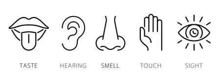Creative vector illustration line icon set of five human senses. Sight, hearing, smell, touch, taste isolated on transparent background. Art design nose, eye, hand, ear, mouth with tongue elementのイラスト素材