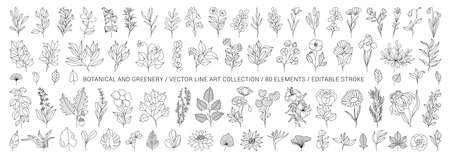 Set of hand drawn plants, leaves, flowers. Silhouettes of natural elements for seasonal backgrounds, templates, wallpaper, cards, banners. Modern design. Doodle style. Contemporary trendy vector iconsのイラスト素材