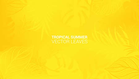 Colorful Luxurious summer background with Palms and tropical summer leaves. Luxury minimal style...