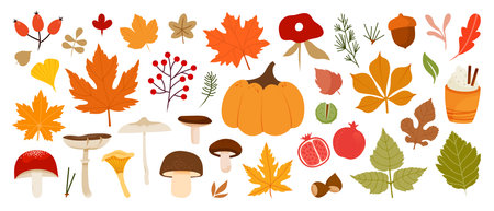 Autumn big collection with botanicals, differents plants and leaves, mushroom, pumpkins, berries, elements isolatedのイラスト素材
