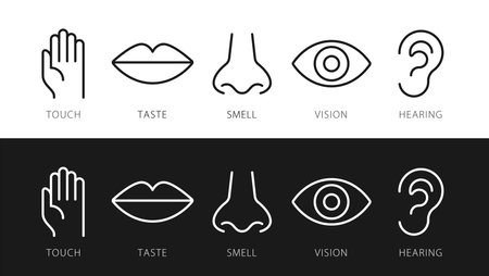 Five senses vector icons set. vision, hearing, touch, taste, smellのイラスト素材