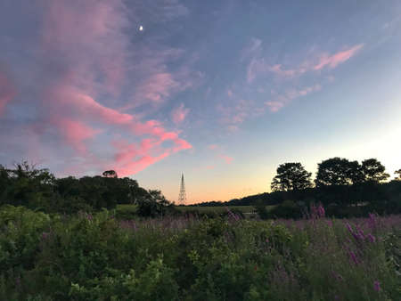 Landscape view of a grasslandの素材