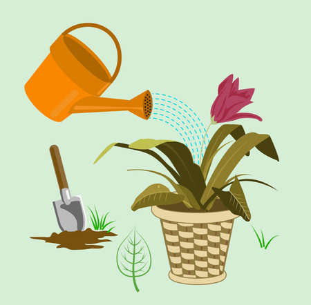 gardening elementsのイラスト素材