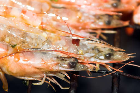 A row of shrimps grilling on a barbecueの写真素材