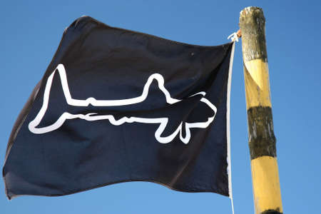Flag with a shark emblem to warn swimmers at the beachの写真素材