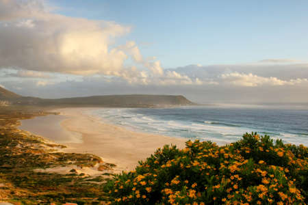 Beautiful long beach of golden sand in Cape Town, South Africaの写真素材