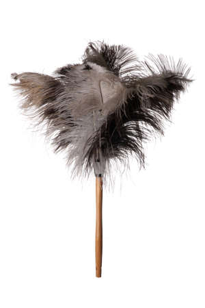 Gray ostriched feather duster with wooden handle isolated on white backgroundの写真素材