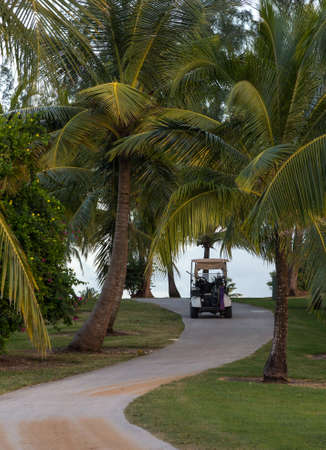 Golf cart on the path at a golf couse in Barbadosの写真素材