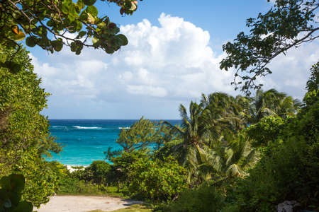 Beautiful coastline at Foul Bay on the east side of Barbadosの写真素材