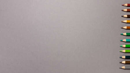 Pencils different colors at the right side flat lay top view on gray background with copy space. Education conceptの写真素材