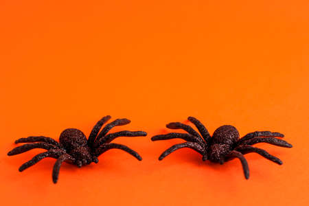 Close up of black horror spiders on orange backdrop with copy space. Halloween decoration spooky background concept for holidays.の写真素材