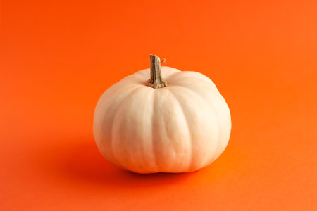 Close up of mini decorative pumpkin white  color on orange background with copy space. Halloween and Thanksgiving greeting card holiday conceptの写真素材