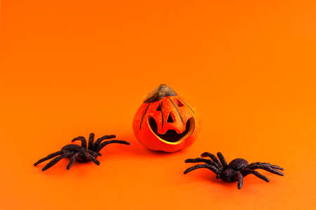 Close up of decoration orange small smile Halloween pumpkin and black horror spiders on orange blurred background and copy space. Holiday autumn concept backdropの写真素材