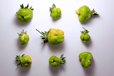 Trendy ugly food pattern fresh green strawberry on white isolated background with shadows.  Misshapen produce, food waste problem conceptの写真素材