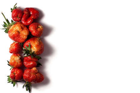Trendy ugly food fresh red strawberry on the left side on white isolated background with hard shadows.  Misshapen produce, food waste problem conceptの写真素材
