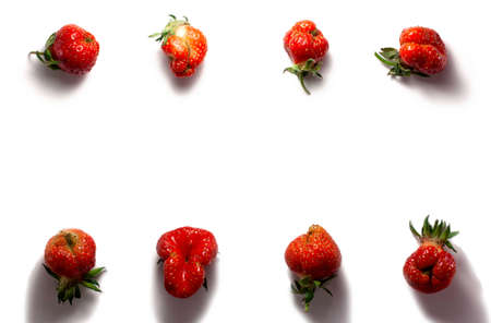 Trendy ugly food fresh red strawberry on white isolated background with hard shadows.  Misshapen produce, food waste problem conceptの写真素材