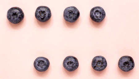 Macro shot blueberry on bright background from adobe. Food and vegetarian concept with copy spaceの写真素材