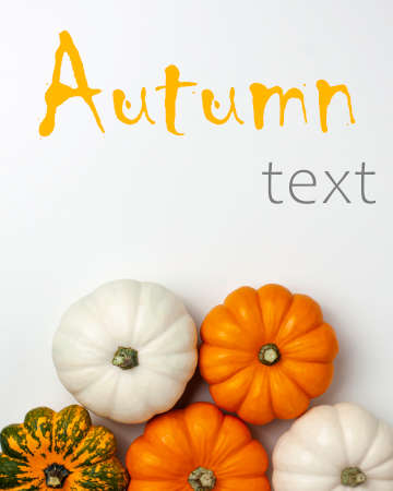 Flat lay of mini decorative pumpkin white, orange, yellow and green colors on bright background from above at the bottom. Halloween and Thanksgiving greeting card holiday concept with copy spaceの写真素材