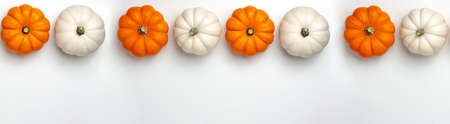 Flat lay of mini decorative pumpkin white, orange and yellow colors on bright background from above at the top. Halloween and Thanksgiving greeting card holiday concept with copy space bannerの写真素材