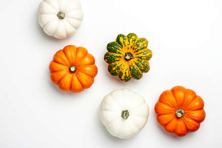 Flat lay of mini decorative pumpkin white, orange, yellow and green colors on bright background from above at the top. Halloween and Thanksgiving greeting card holiday concept with copy spaceの写真素材