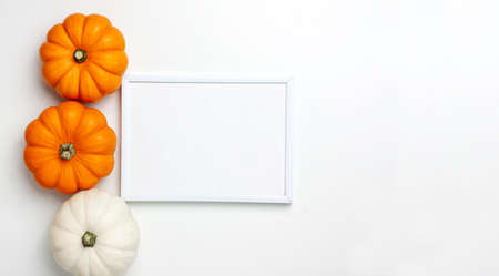 Mock up flat lay of mini decorative pumpkin white, orange and yellow colors and white frame on bright background. Halloween and Thanksgiving greeting card holiday concept with copy spaceの写真素材