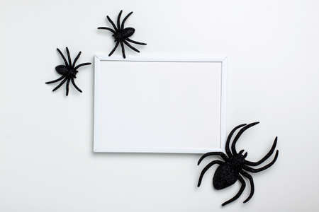 Mock up flat lay of black spiders and frame on bright background from above. Halloween and Thanksgiving greeting card holiday concept with copy spaceの写真素材