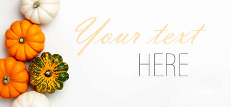 Flat lay of mini decorative pumpkin white, orange, yellow and green colors on bright background from above at the left. Halloween and Thanksgiving greeting card holiday concept with copy space bannerの写真素材