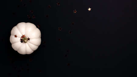 Flat lay of mini decorative white pumpkin and stars on black background from above . Halloween and Thanksgiving greeting card holiday concept with copy spaceの写真素材
