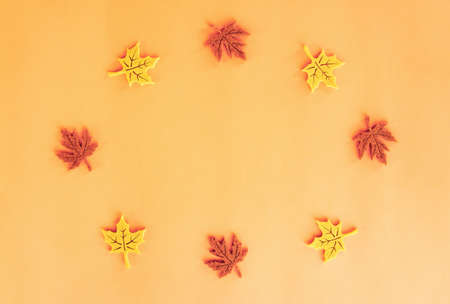 Beautiful autumn flat lay of felt decoration leaves of yellow and red maple standing in a circle and spinning around its axis on orange background. Holidays concept with copy spaceの写真素材