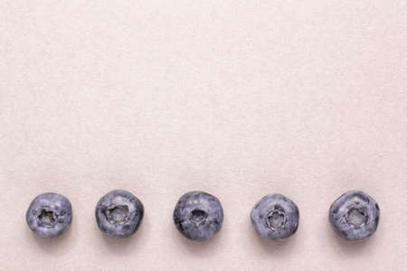 Macro shot blueberry on bright background from adobe. Food and vegetarian concept with copy spaceの写真素材