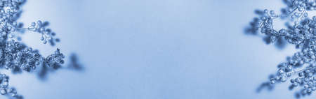 Banner of blue berries on the branch Christmas decoration on gray background on the left and right side. Top view flat lay. Holidays concept with copy space.の写真素材