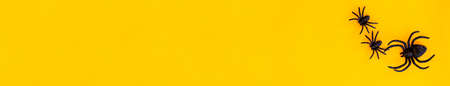 Flat lay banner of black horror spiders of different sizes on the right on orange backdrop with copy space. Halloween decoration spooky background concept for holidaysの写真素材