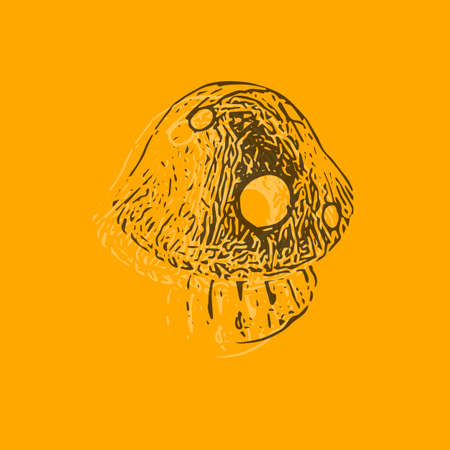 Beautiful amanita mushrooms white and black illustration on yellow with copy space. Autumn seasonal backdrop for postcard gift paper wallpaper textile and invitationsの写真素材