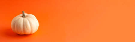 Banner of mini decorative white pumpkins on the left on orange background with copy space. Halloween and Thanksgiving greeting card holiday conceptの写真素材
