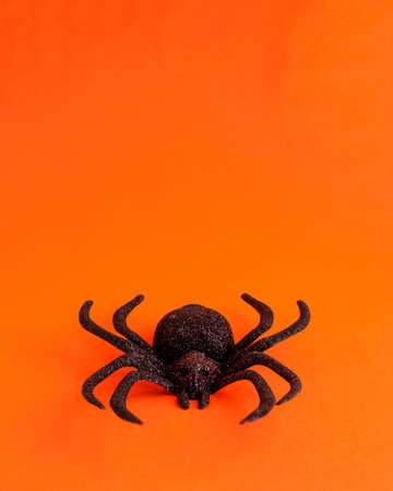One big black horror spider on orange backdrop with copy space. Halloween decoration spooky background concept for holidays.の写真素材