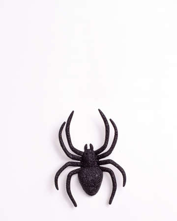 Flat lay of black horror spiders of different sizes directions on white backdrop with copy space. Halloween decoration spooky background concept for holidaysの写真素材