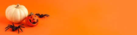 Close up banner of decoration orange and white small smile Halloween pumpkin mockup template white frame with wooden borders and black horror spiders on orange blurred background copy space. Holiday autumn.の写真素材