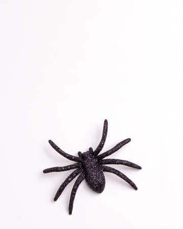 Flat lay of black horror spiders of different sizes directions on white backdrop with copy space. Halloween decoration spooky background concept for holidaysの写真素材