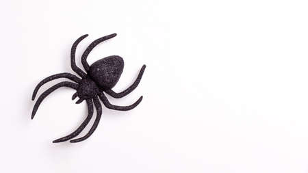 Flat lay banner of one black horror spiders on white backdrop with copy space. Halloween decoration spooky background concept for holidaysの写真素材