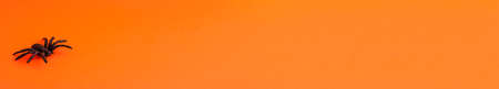 Flat lay banner of black horror spider on orange on the left backdrop with copy space. Halloween decoration spooky background concept for holidaysの写真素材