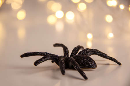 Close up of black horror spider on bright blurred background with bokeh with copy space. Halloween...