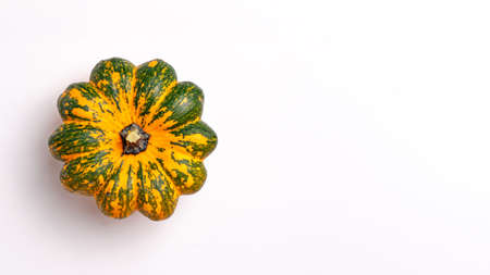 Flat lay of mini decorative white, orange and green pumpkin on bright background from above at the top. Halloween and Thanksgiving greeting card holiday concept with copy space.の写真素材