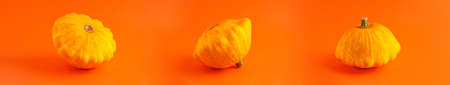 Close up banner of tree mini decorative pumpkin yellow  color on orange background with copy space. Halloween and Thanksgiving greeting card holiday conceptの写真素材