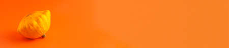 Close up banner of two mini decorative pumpkin yellow color on orange background with copy space....