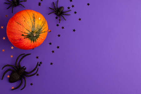Flat lay of decoration orange small Halloween pumpkin template star shapes and black horror spiders on vibrant purple background on the leftwith copy space. Holiday autumn concept.の写真素材