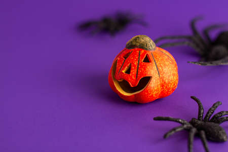 Close up of decoration orange small smile Halloween pumpkin and black horror spiders on vibrant...