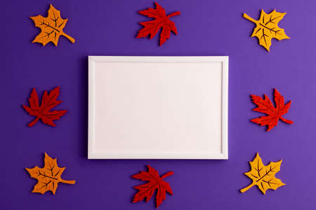 Yellow and red felt autumn leaves and picture frame on purple background with copy space. Halloween scary holiday and autumn conceptの写真素材