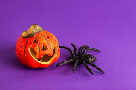 Close up of decoration orange small smile Halloween pumpkin and black horror spiders on vibrant purple blurred background and copy space Holiday autumn concept backdrop.の写真素材