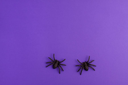 Two tiny black artificial spiders that crawl over purple background on left with copy space....
